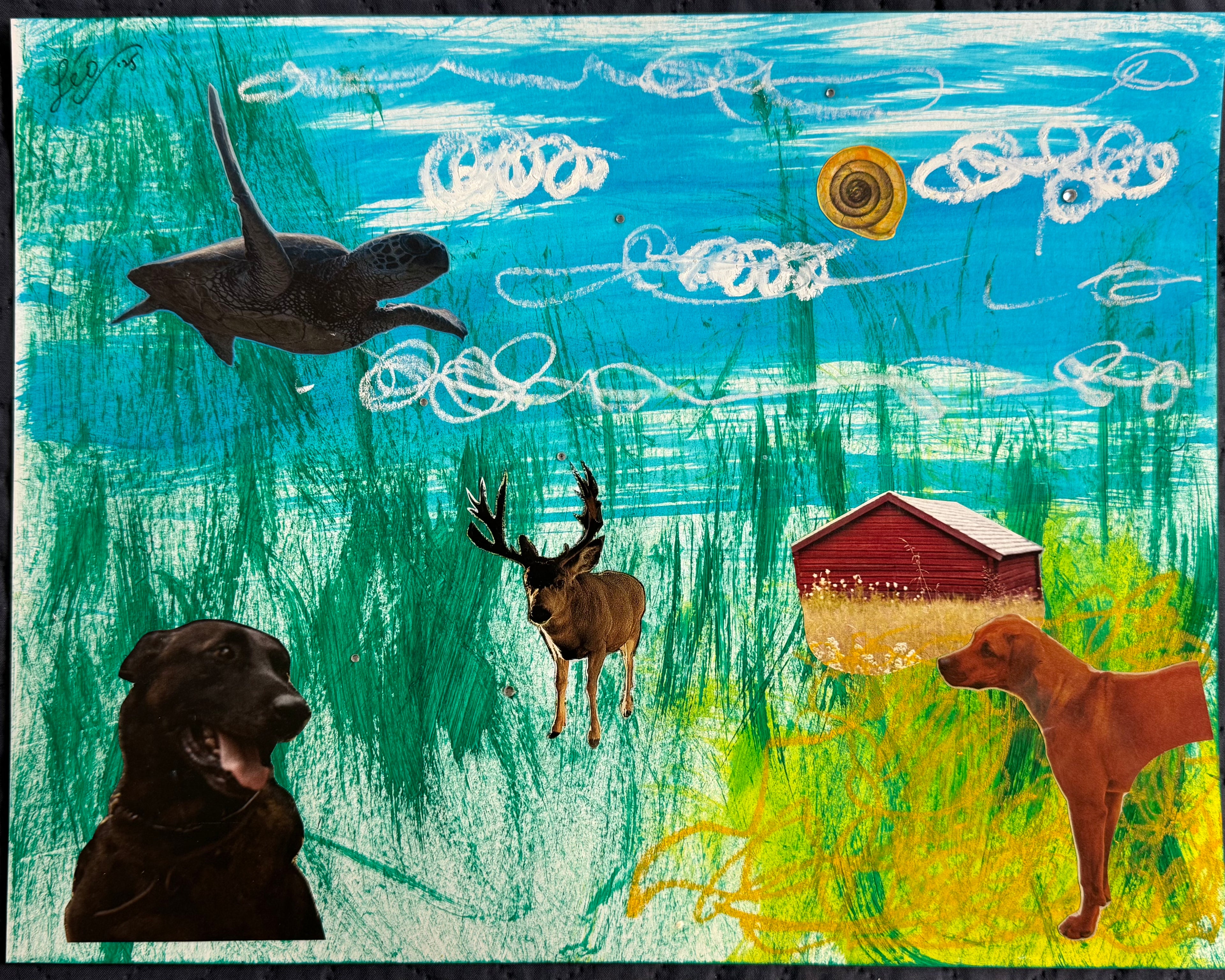 Northern Wild (2025)
