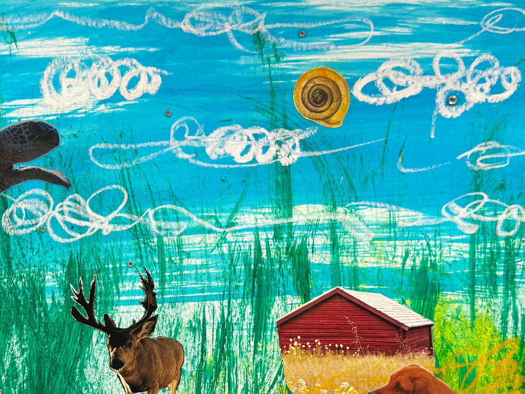 Northern Wild (2025)