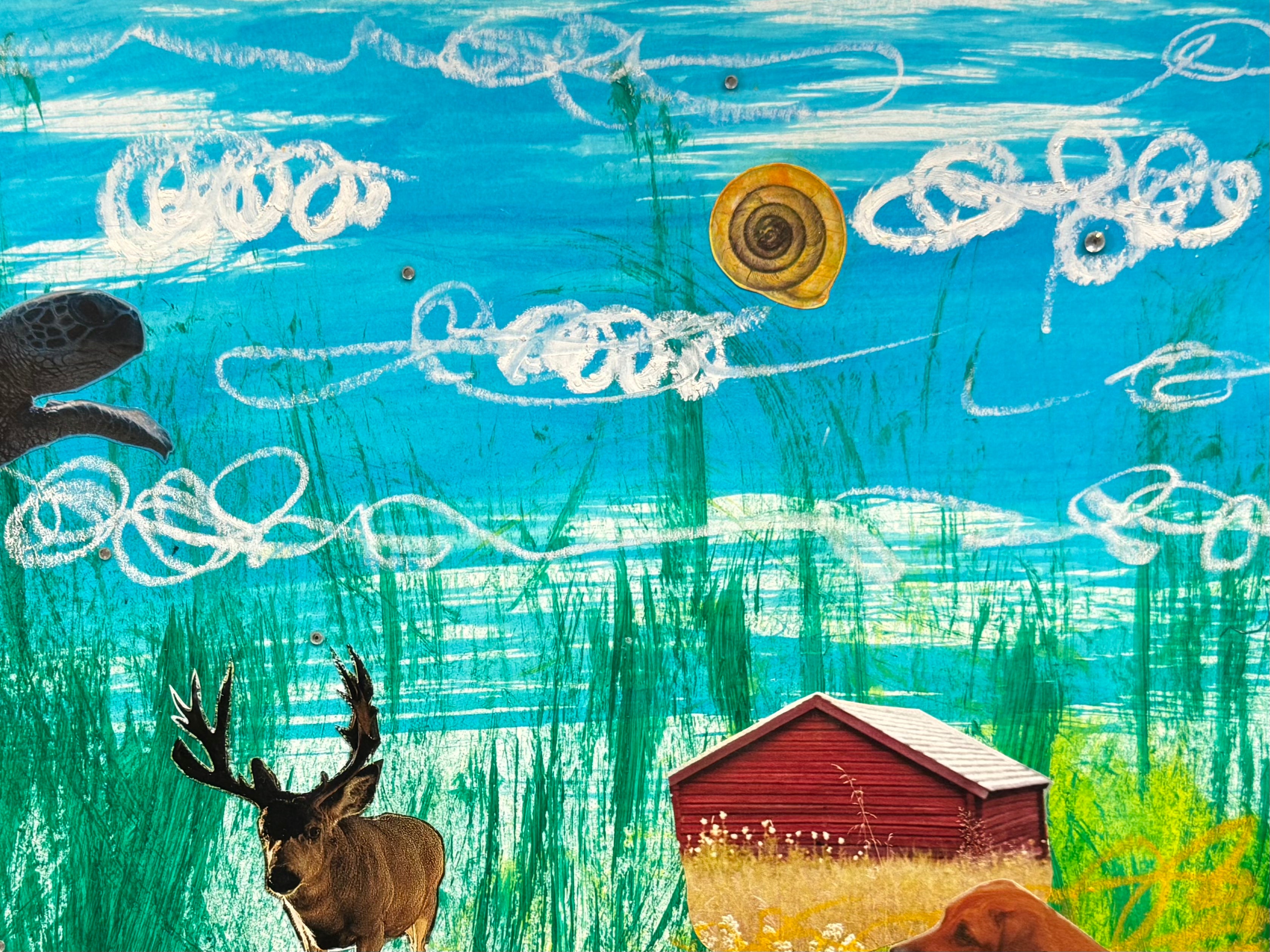 Northern Wild (2025)